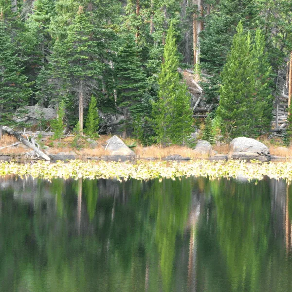 Cub Lake
