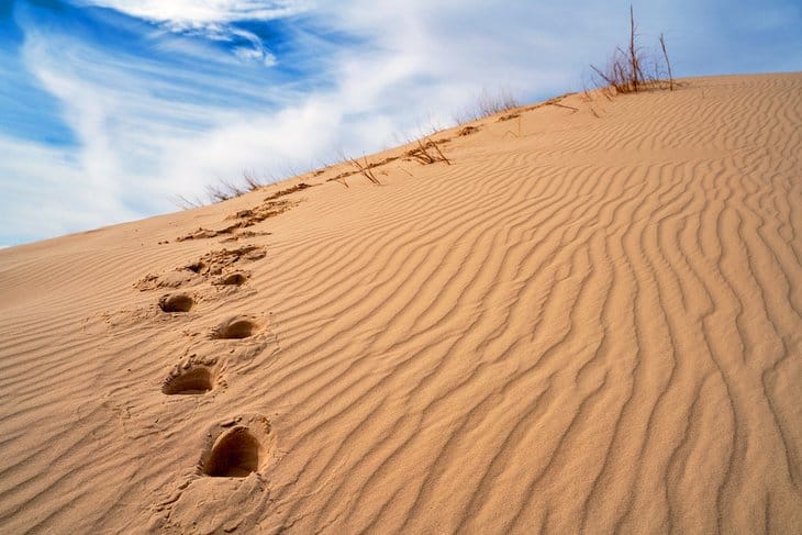 Monahan Sandhills