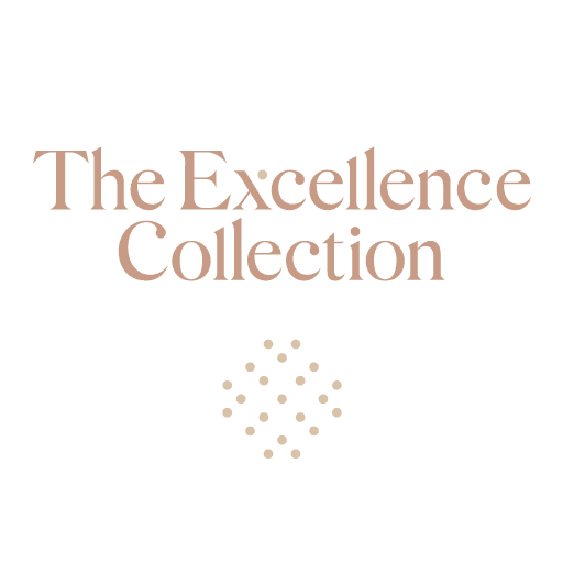 Excellence logo