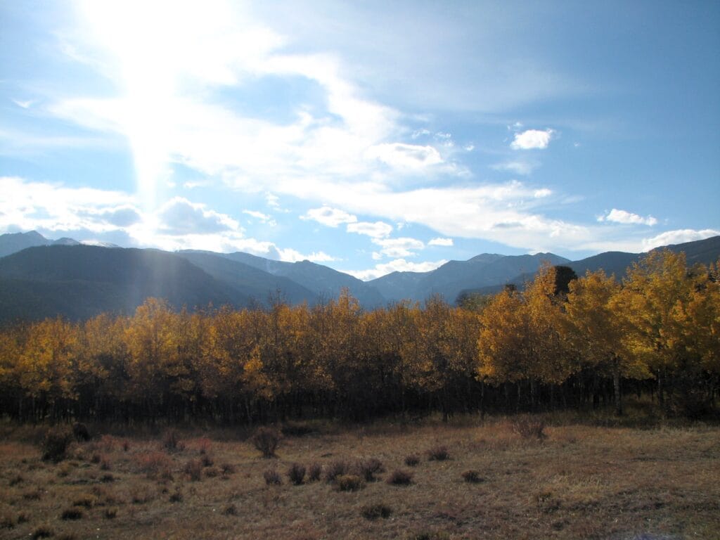Beaver Meadow