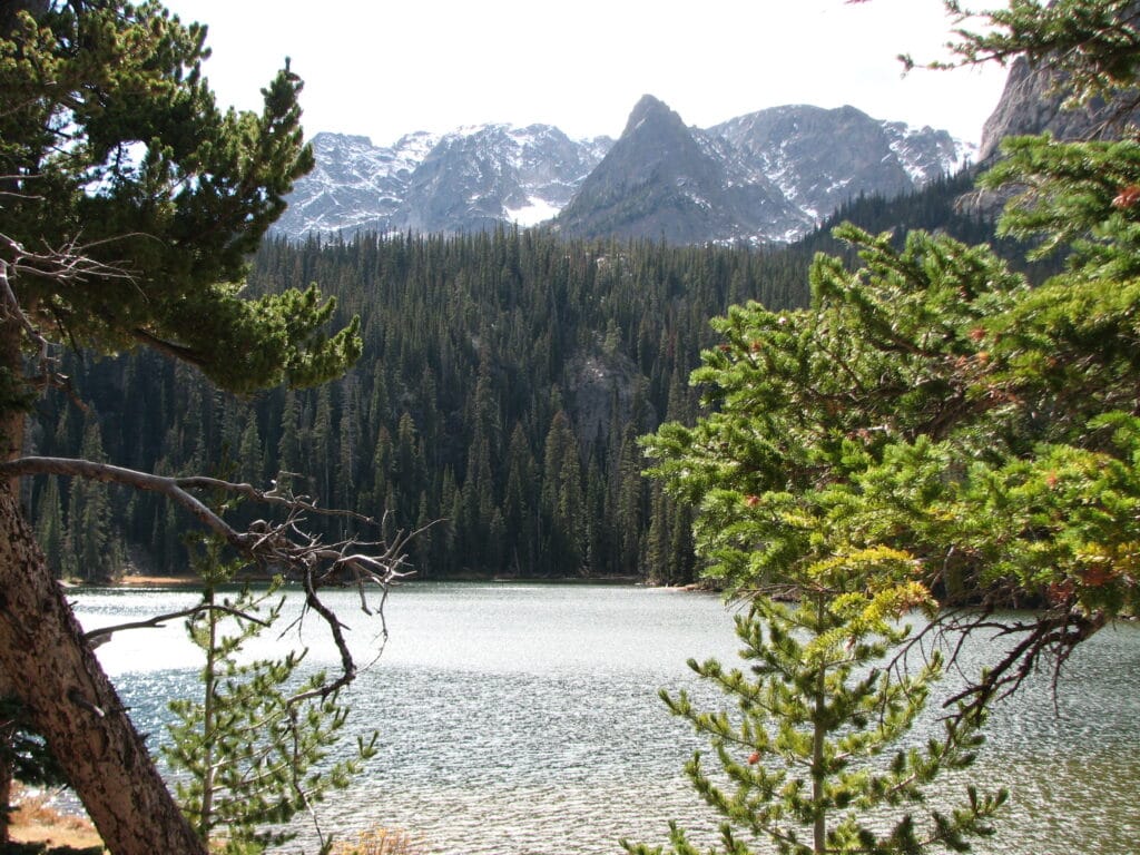 Fern Lake