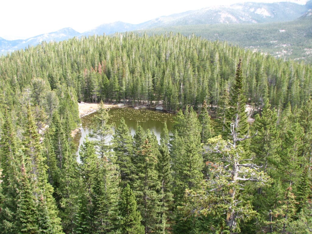 RMNP Dream Lake